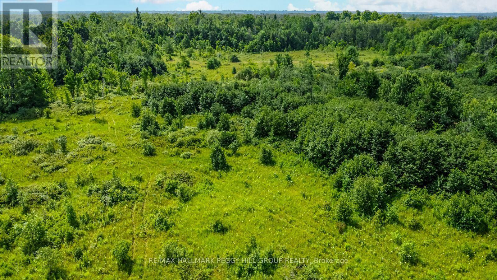 Lot 5 Concession 5, Kawartha Lakes, Ontario  K0M 2B0 - Photo 4 - X12153197
