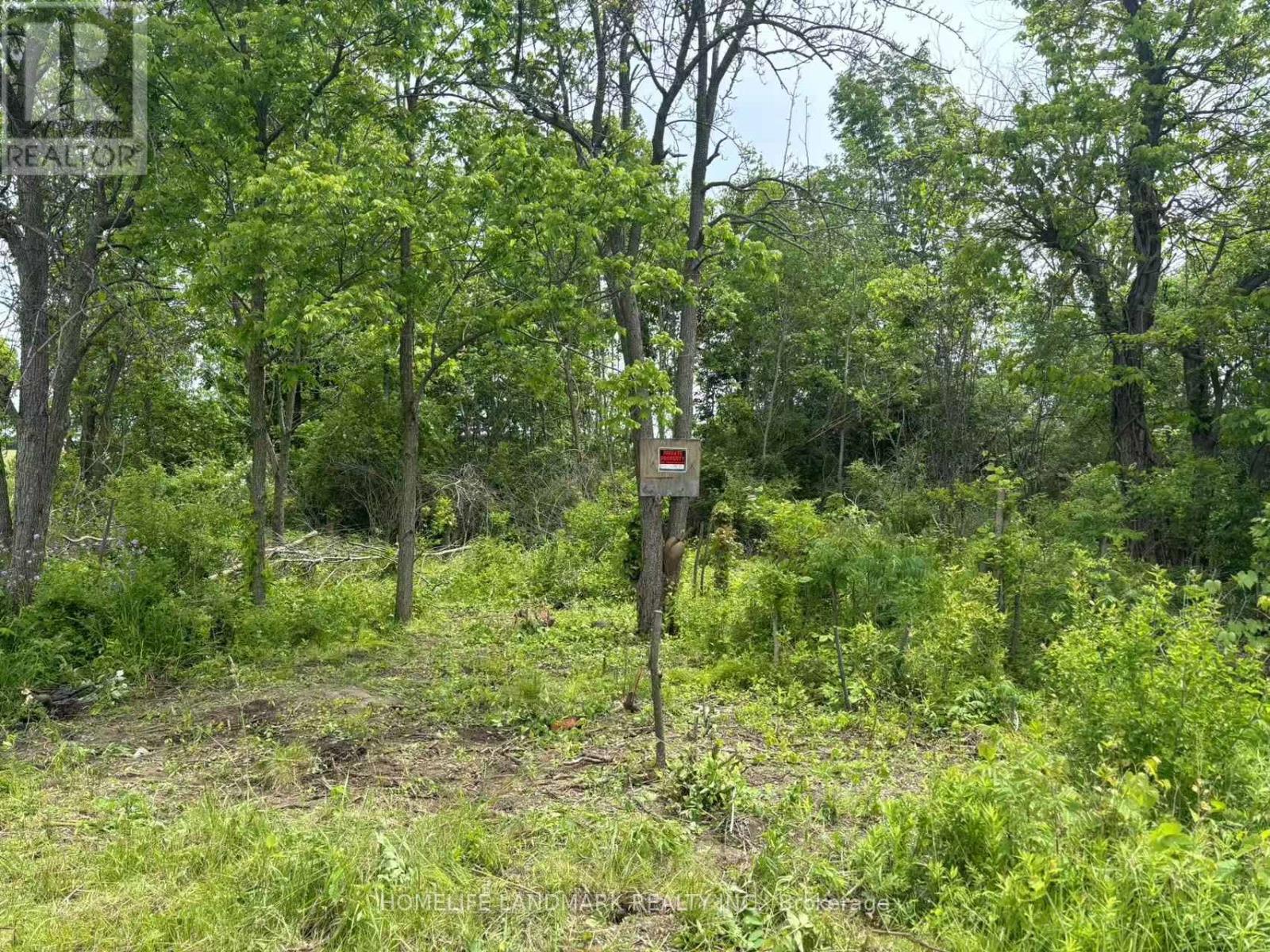 1146 Blueline Road, Norfolk, Ontario  N3Y 4K4 - Photo 5 - X12153200
