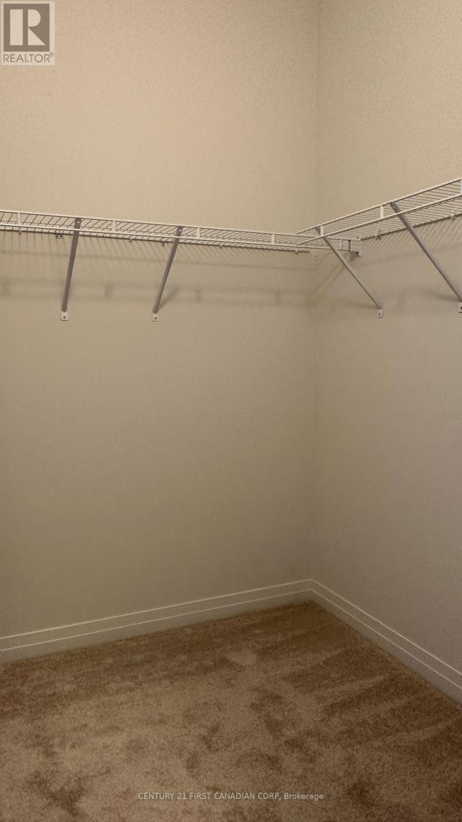 254 Middleton Street, Zorra, Ontario  N0M 2M0 - Photo 25 - X12153572