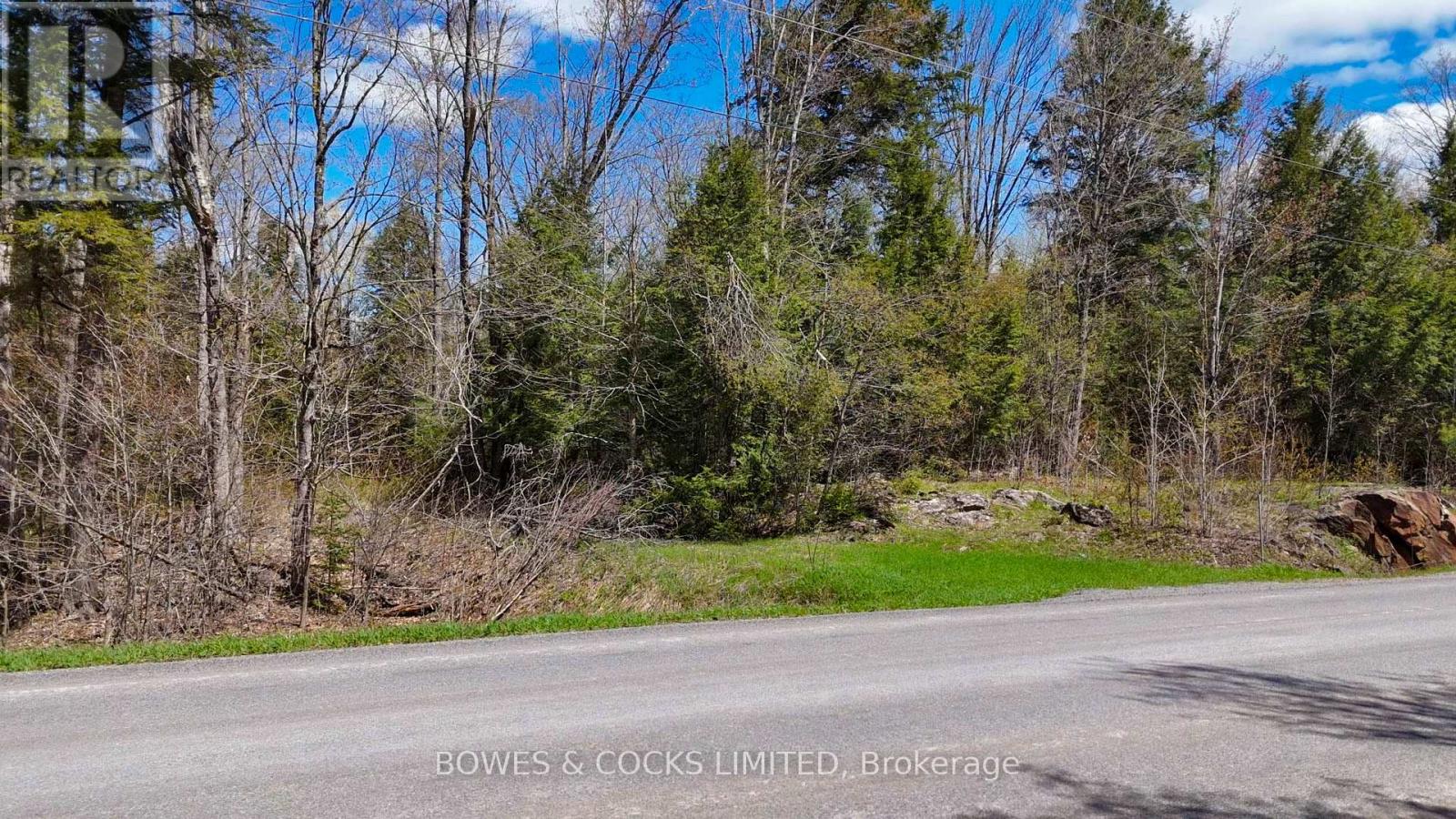 1160 Balmer Road, North Kawartha, Ontario  K0L 1A0 - Photo 5 - X12153763