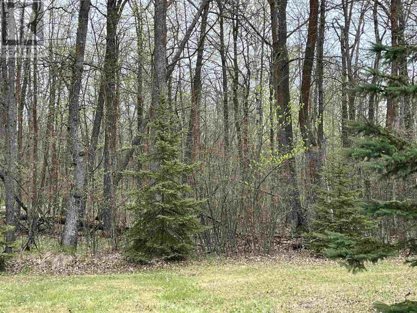399 Oak Grove Rd, Rainy River, Ontario  P0W 1L0 - Photo 27 - TB251210
