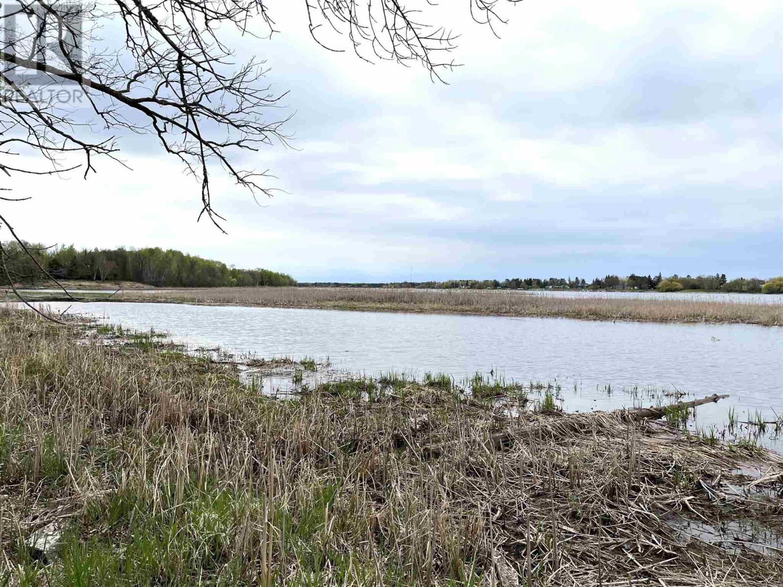 399 Oak Grove Rd, Rainy River, Ontario  P0W 1L0 - Photo 32 - TB251210