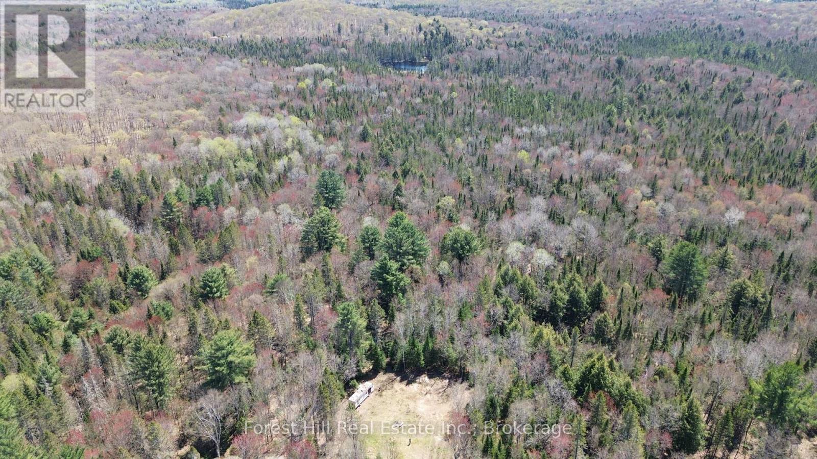 515 James Camp Road, Ryerson, Ontario  P0A 1C0 - Photo 15 - X12153640