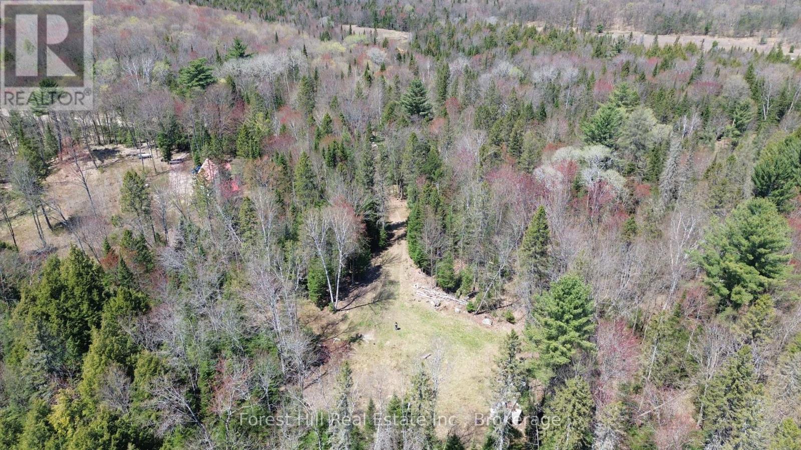 515 James Camp Road, Ryerson, Ontario  P0A 1C0 - Photo 16 - X12153640