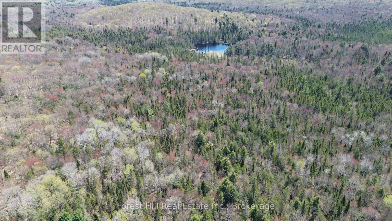 515 James Camp Road, Ryerson, Ontario  P0A 1C0 - Photo 17 - X12153640