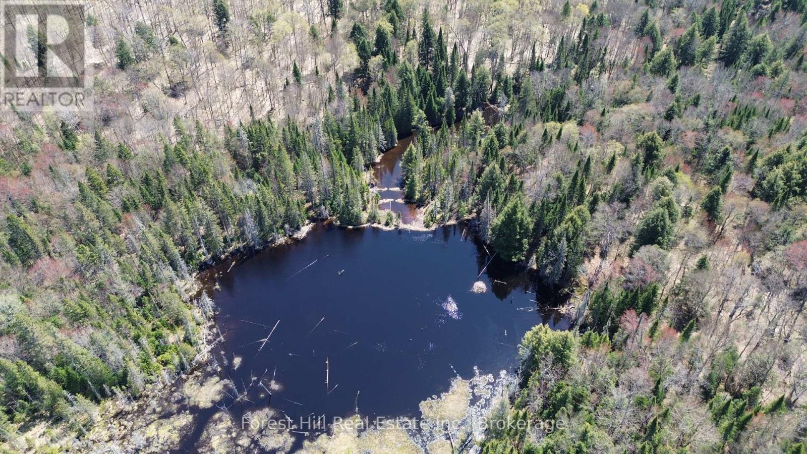 515 James Camp Road, Ryerson, Ontario  P0A 1C0 - Photo 19 - X12153640