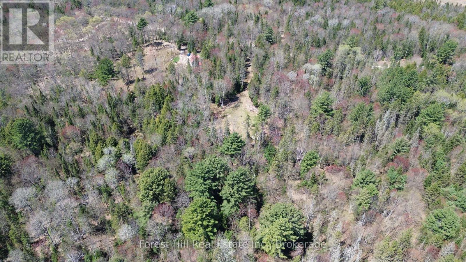 515 James Camp Road, Ryerson, Ontario  P0A 1C0 - Photo 20 - X12153640
