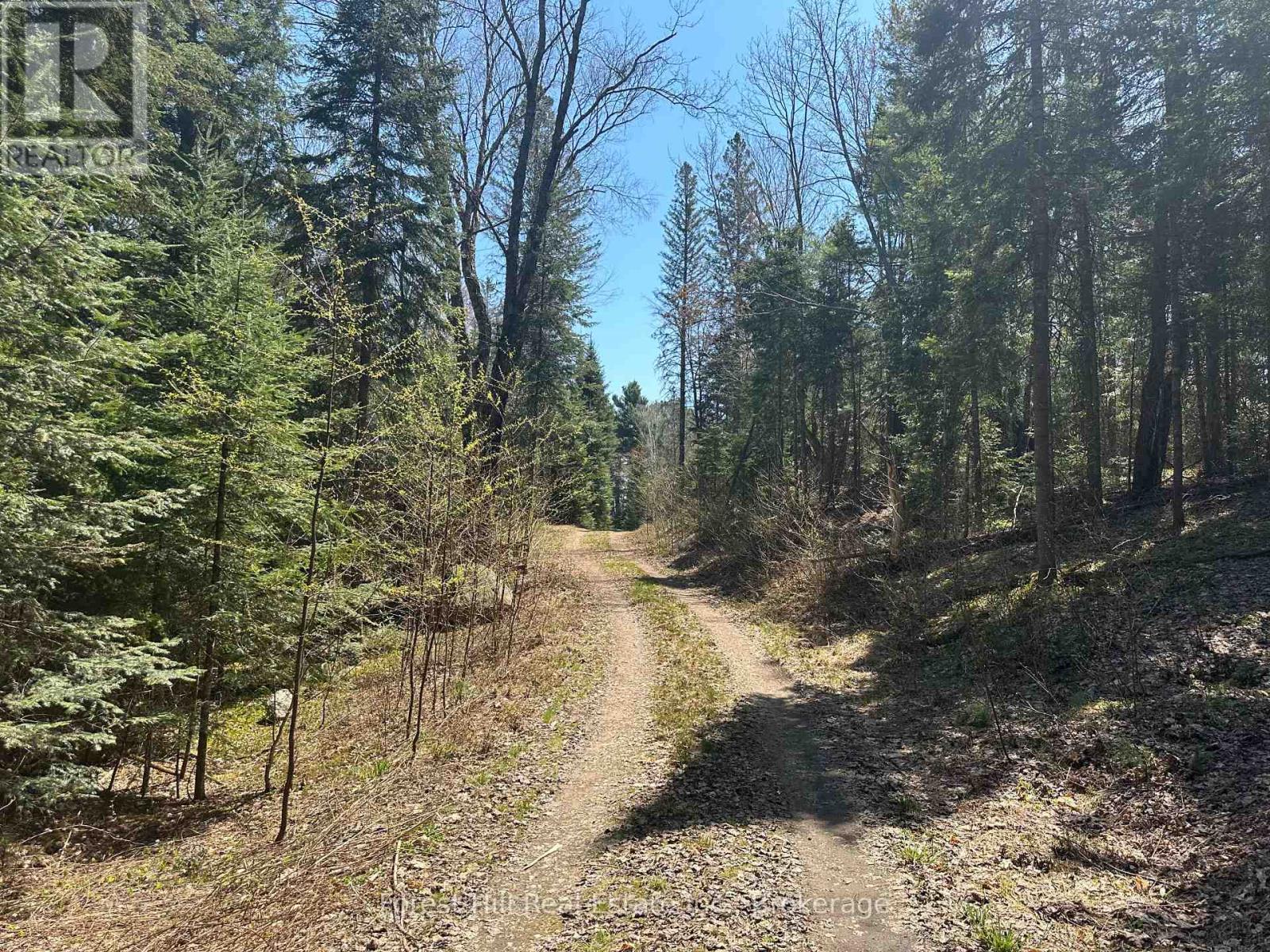 515 James Camp Road, Ryerson, Ontario  P0A 1C0 - Photo 3 - X12153640