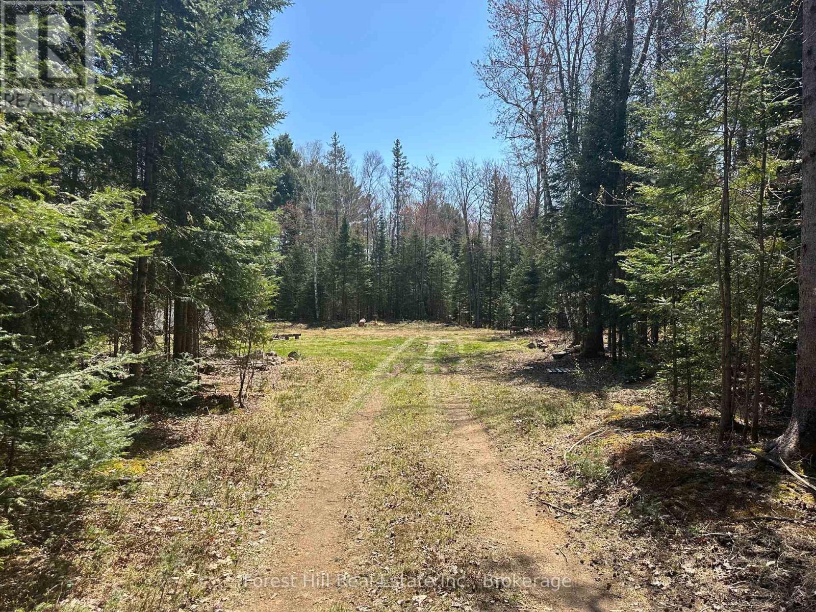 515 James Camp Road, Ryerson, Ontario  P0A 1C0 - Photo 5 - X12153640