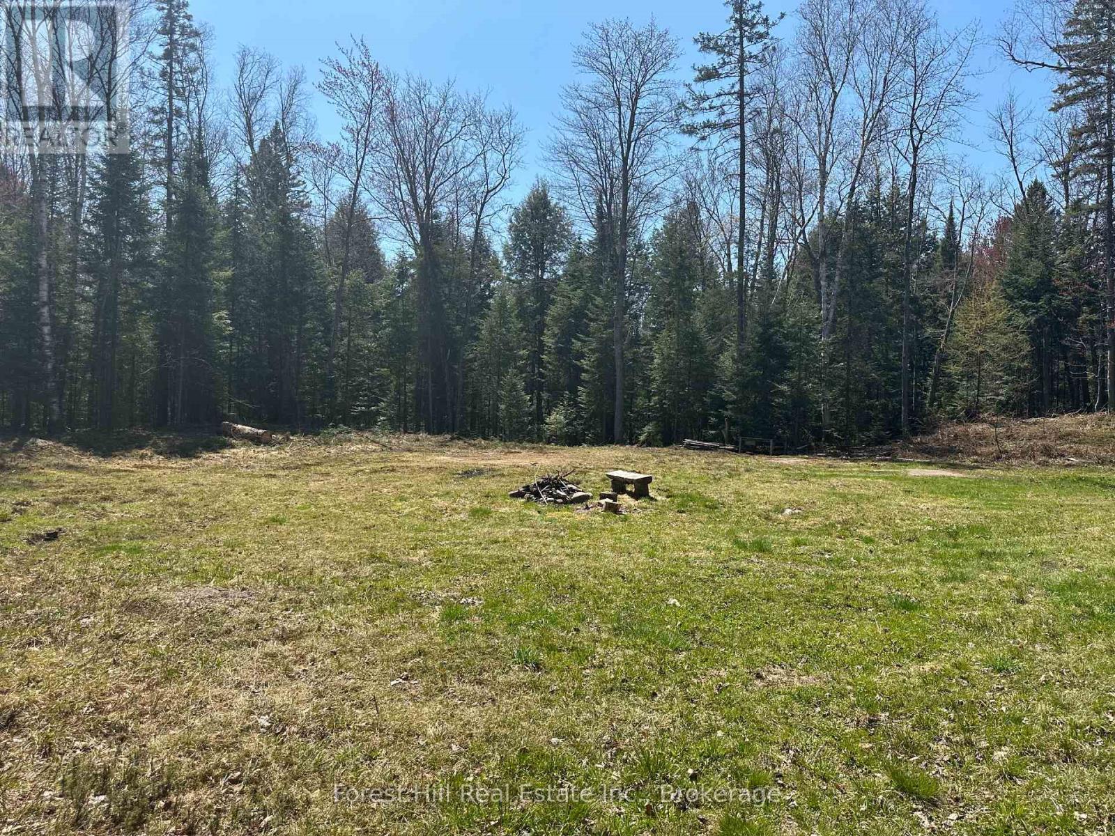 515 James Camp Road, Ryerson, Ontario  P0A 1C0 - Photo 7 - X12153640