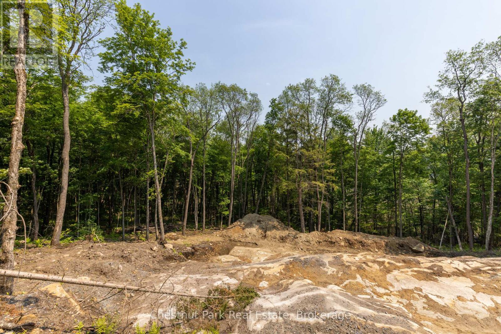 2212 Aspdin Road, Huntsville, Ontario  P0B 1M0 - Photo 17 - X12153662