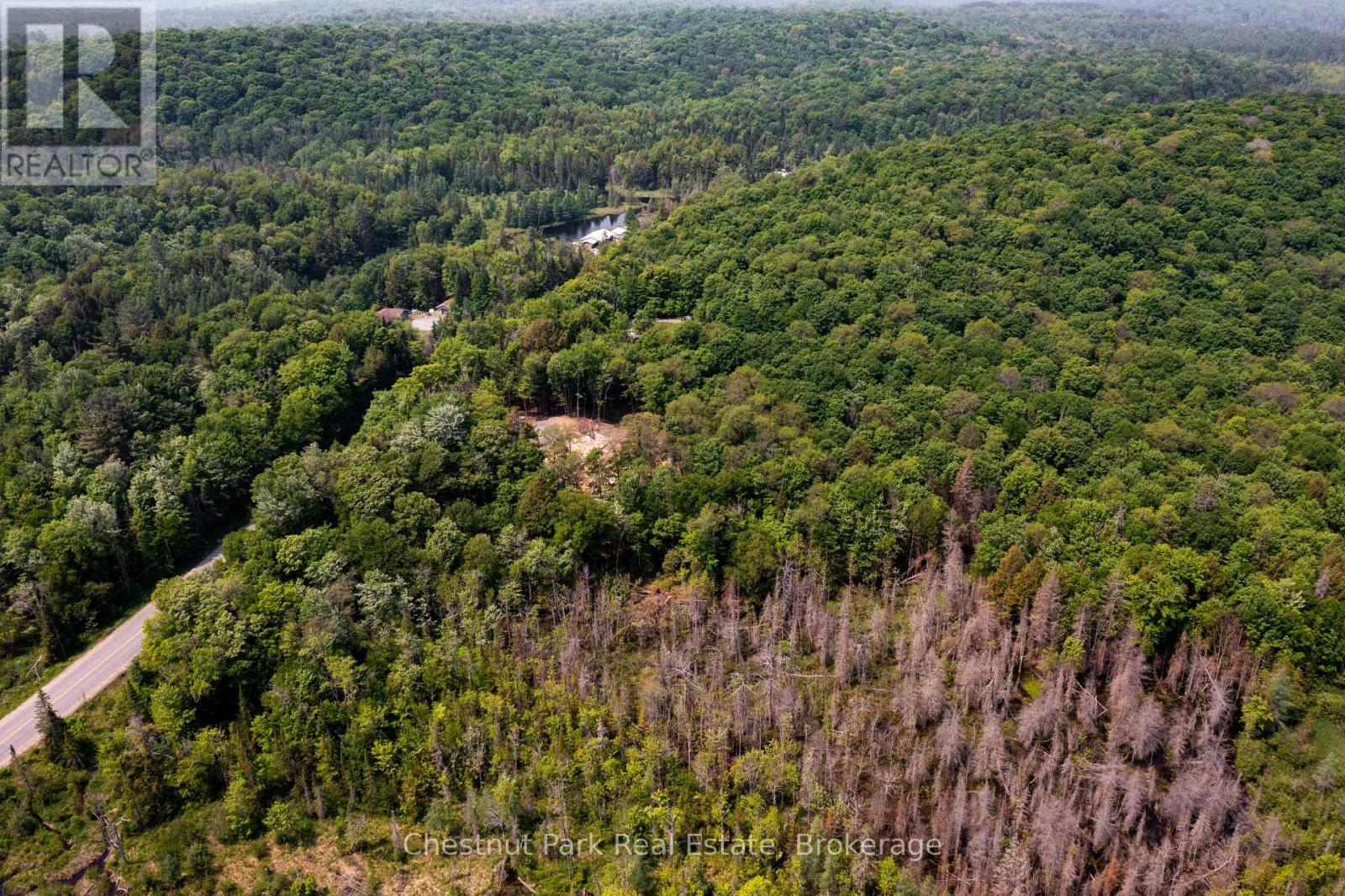 2212 Aspdin Road, Huntsville, Ontario  P0B 1M0 - Photo 37 - X12153662