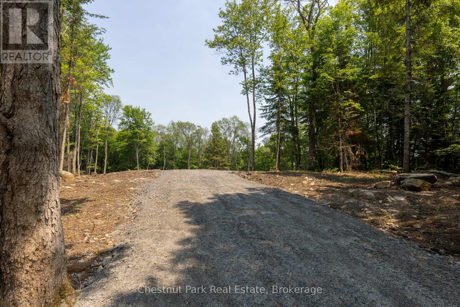 2212 Aspdin Road, Huntsville, Ontario  P0B 1M0 - Photo 4 - X12153662