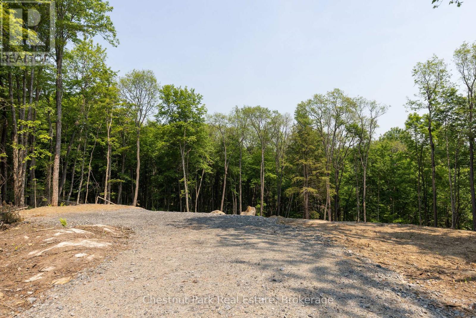 2212 Aspdin Road, Huntsville, Ontario  P0B 1M0 - Photo 6 - X12153662