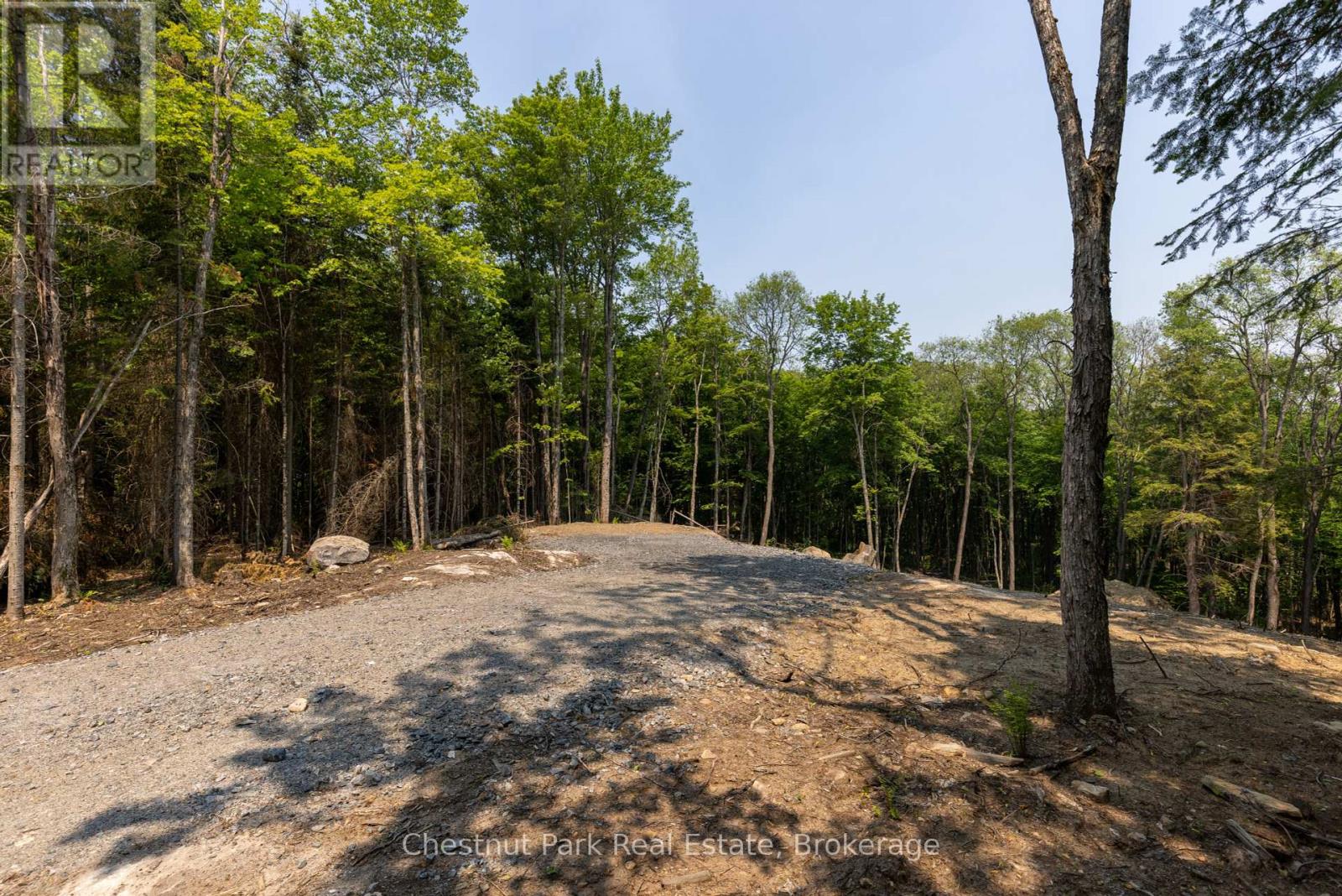 2212 Aspdin Road, Huntsville, Ontario  P0B 1M0 - Photo 7 - X12153662