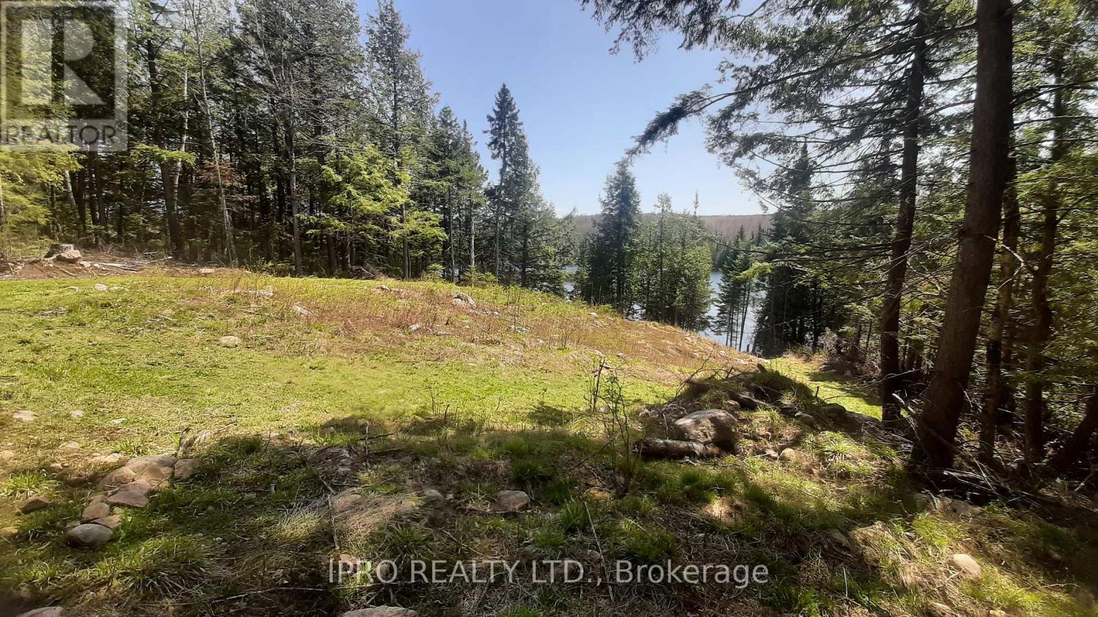 6447 Opeongo Road, Bonnechere Valley, Ontario  K0J 1T0 - Photo 4 - X12143112