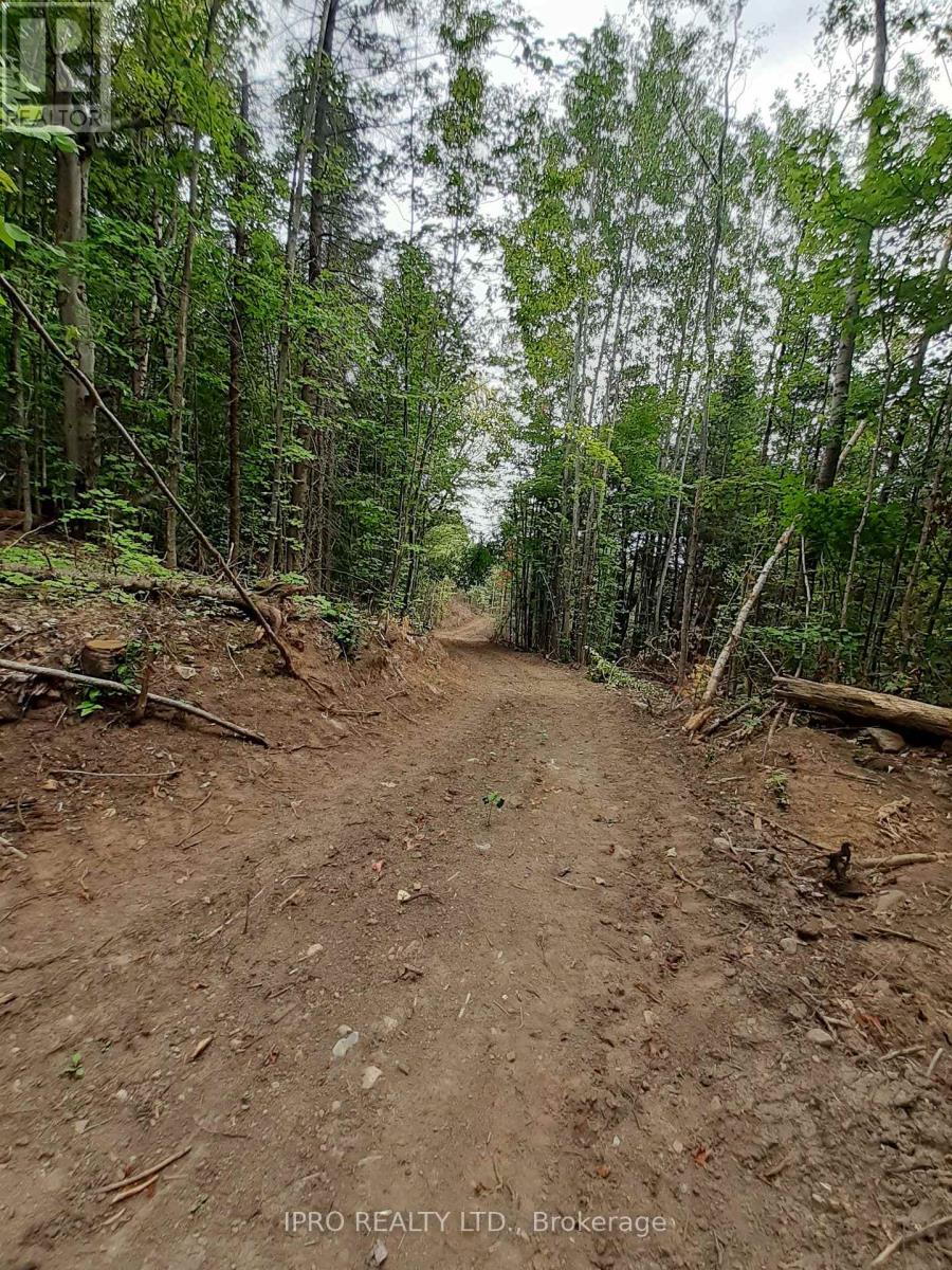 6447 Opeongo Road, Bonnechere Valley, Ontario  K0J 1T0 - Photo 12 - X12143112