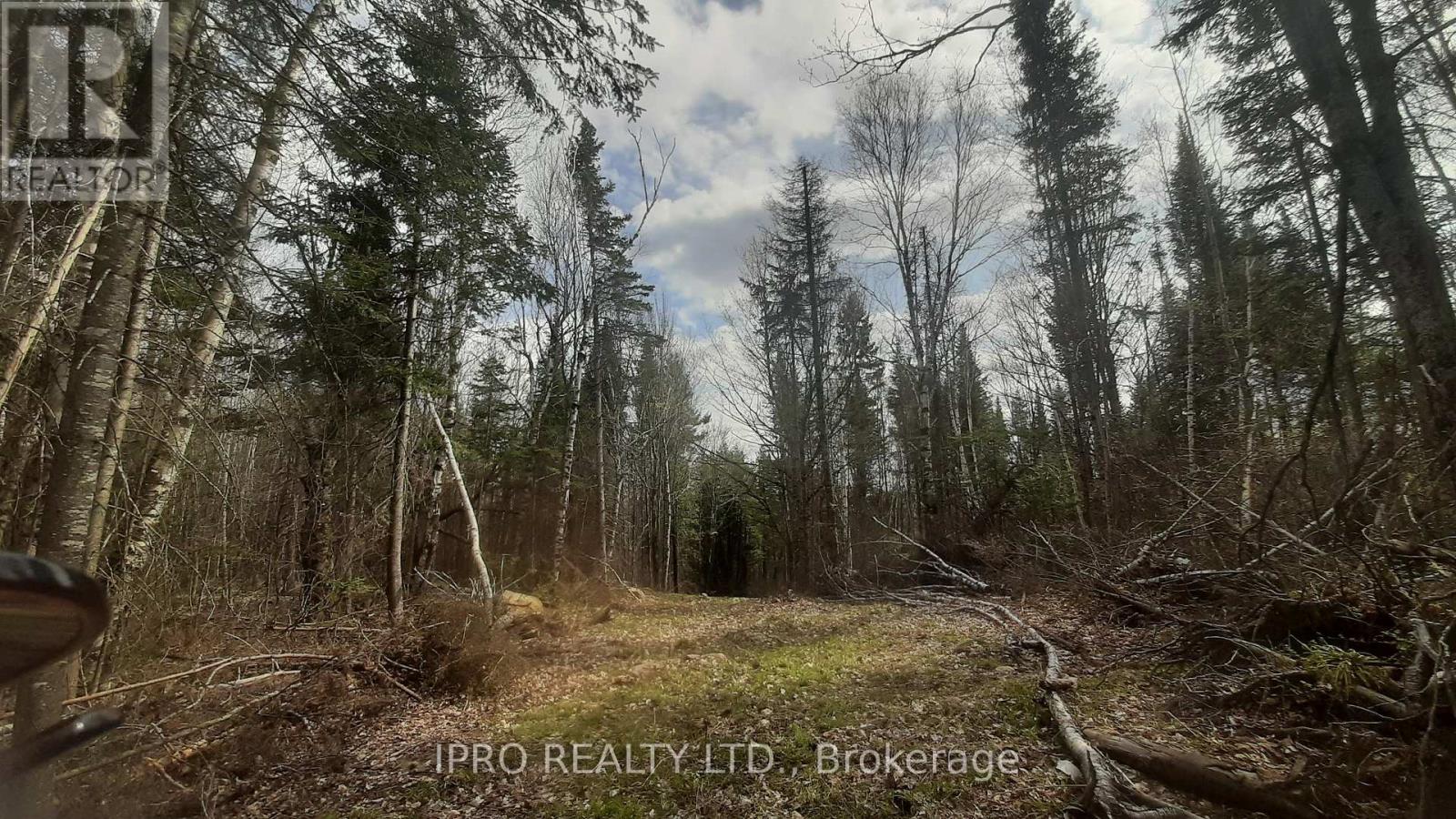 6447 Opeongo Road, Bonnechere Valley, Ontario  K0J 1T0 - Photo 7 - X12143112