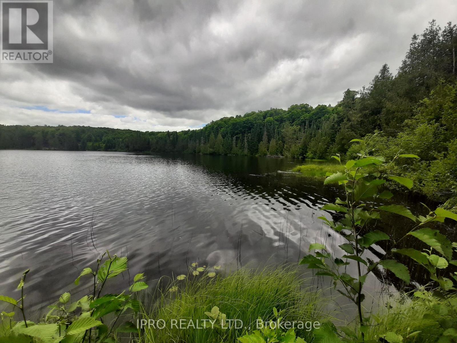 6491-B Opeongo Road, Bonnechere Valley, Ontario  K0J 1T0 - Photo 4 - X12137367