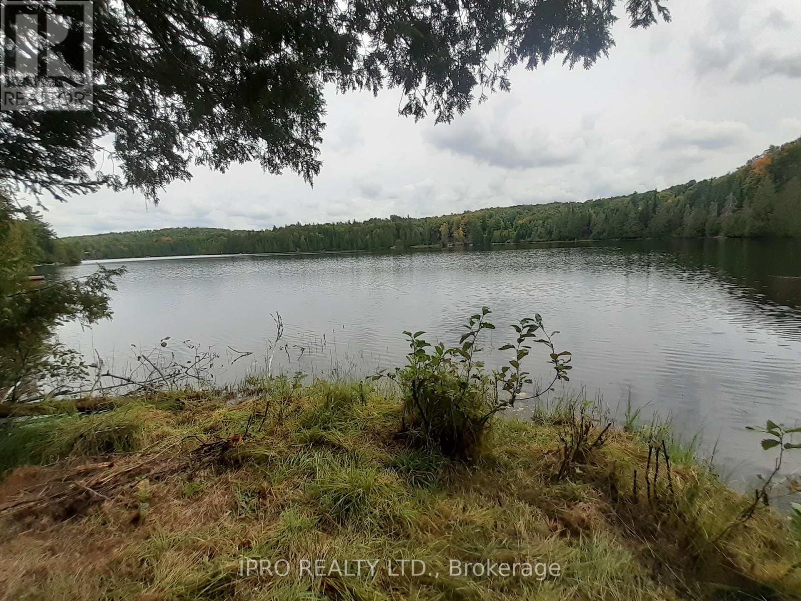 6447 Opeongo Road, Bonnechere Valley, Ontario  K0J 1T0 - Photo 2 - X12143112