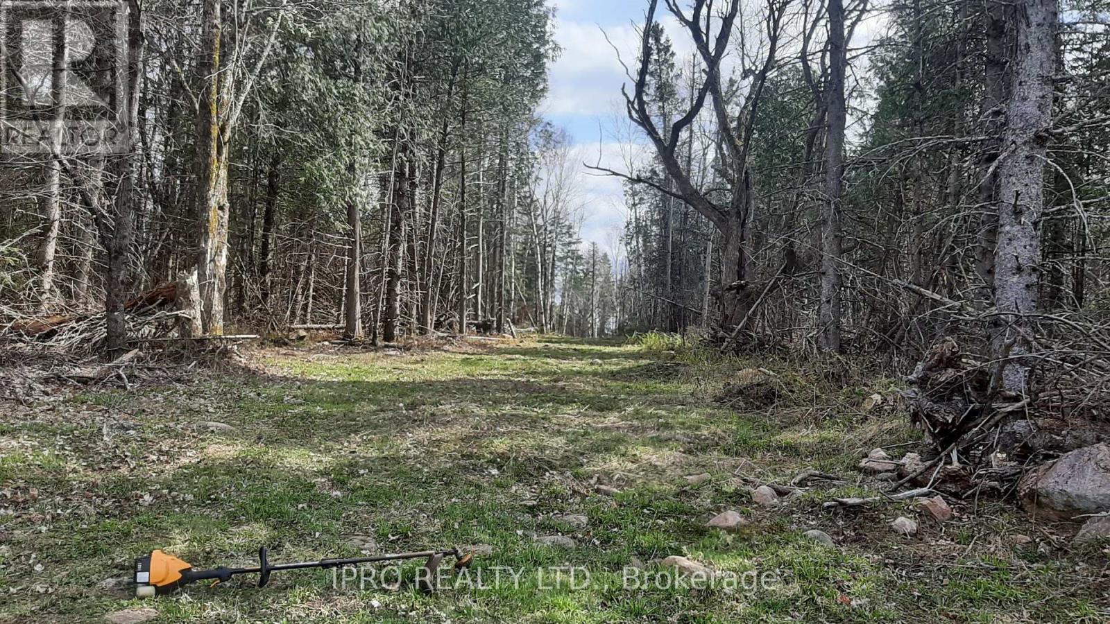 6447 Opeongo Road, Bonnechere Valley, Ontario  K0J 1T0 - Photo 8 - X12143112