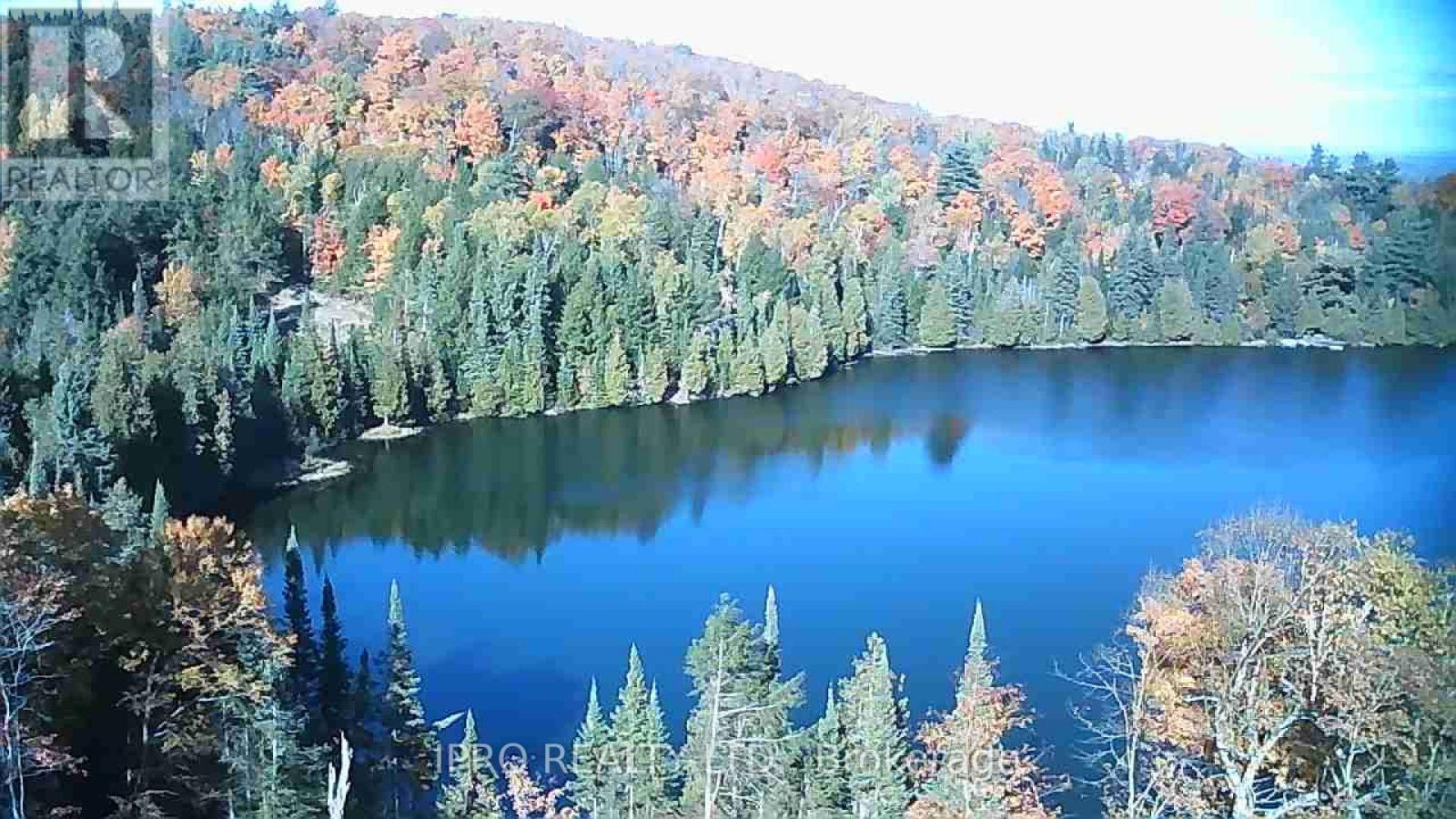 6447 Opeongo Road, Bonnechere Valley, Ontario  K0J 1T0 - Photo 3 - X12143112