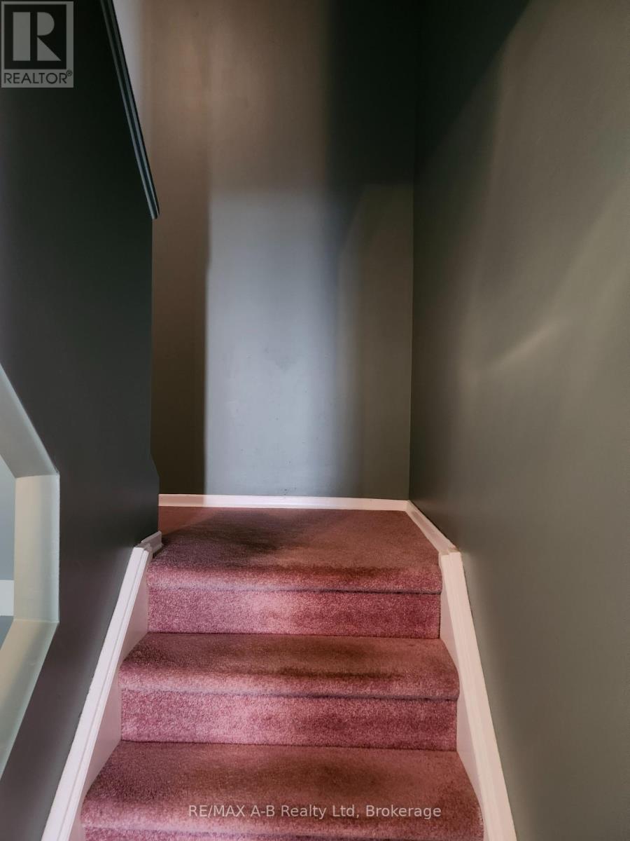 234 Patricia Road, Stratford, Ontario N5A 7B4 - Photo 16 - X12136142
