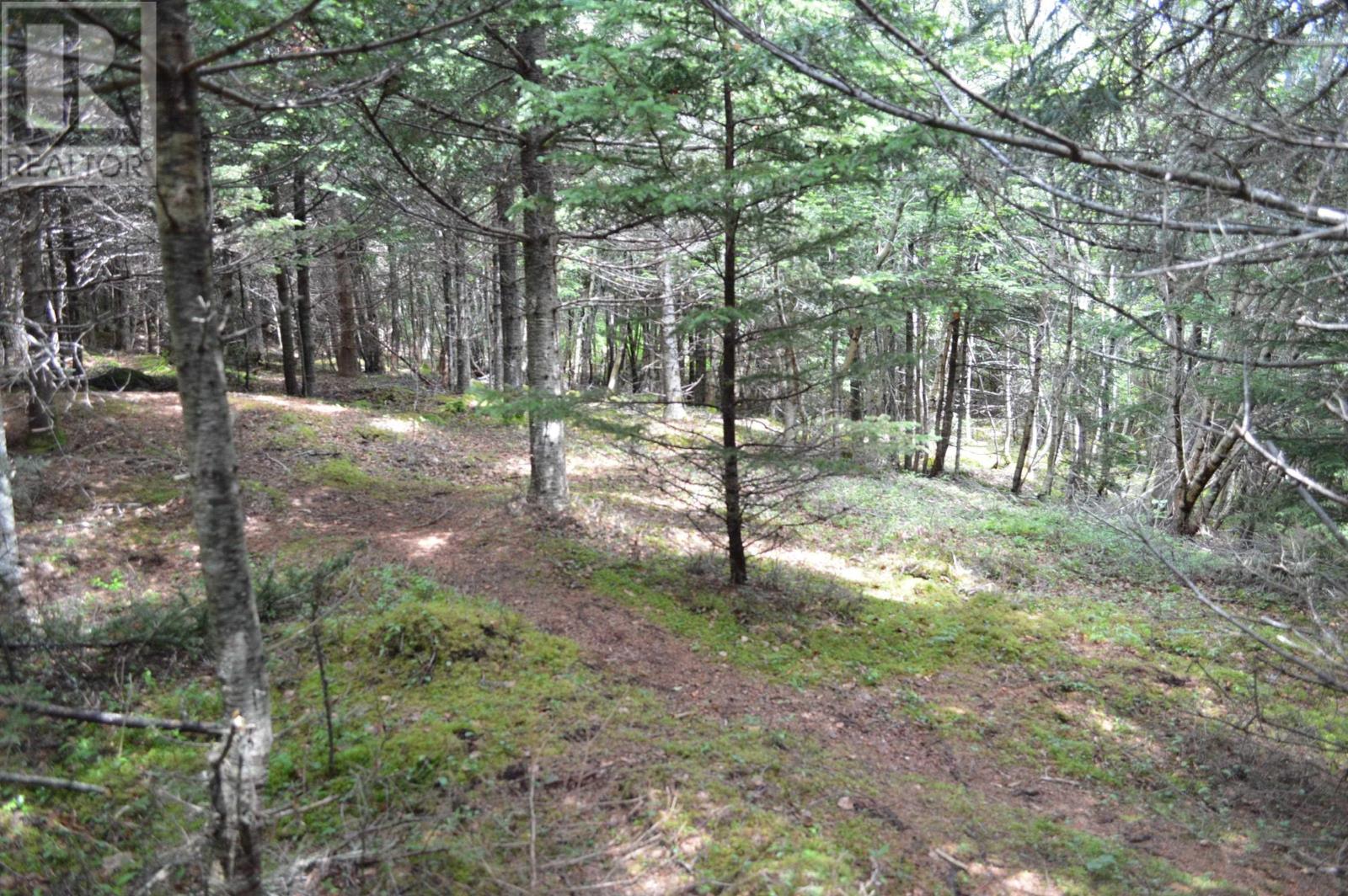 Lot 2 Portion Of 60169216 Blue Rocks Road, Garden Lots, Nova Scotia  B0J 2C0 - Photo 31 - 202511256