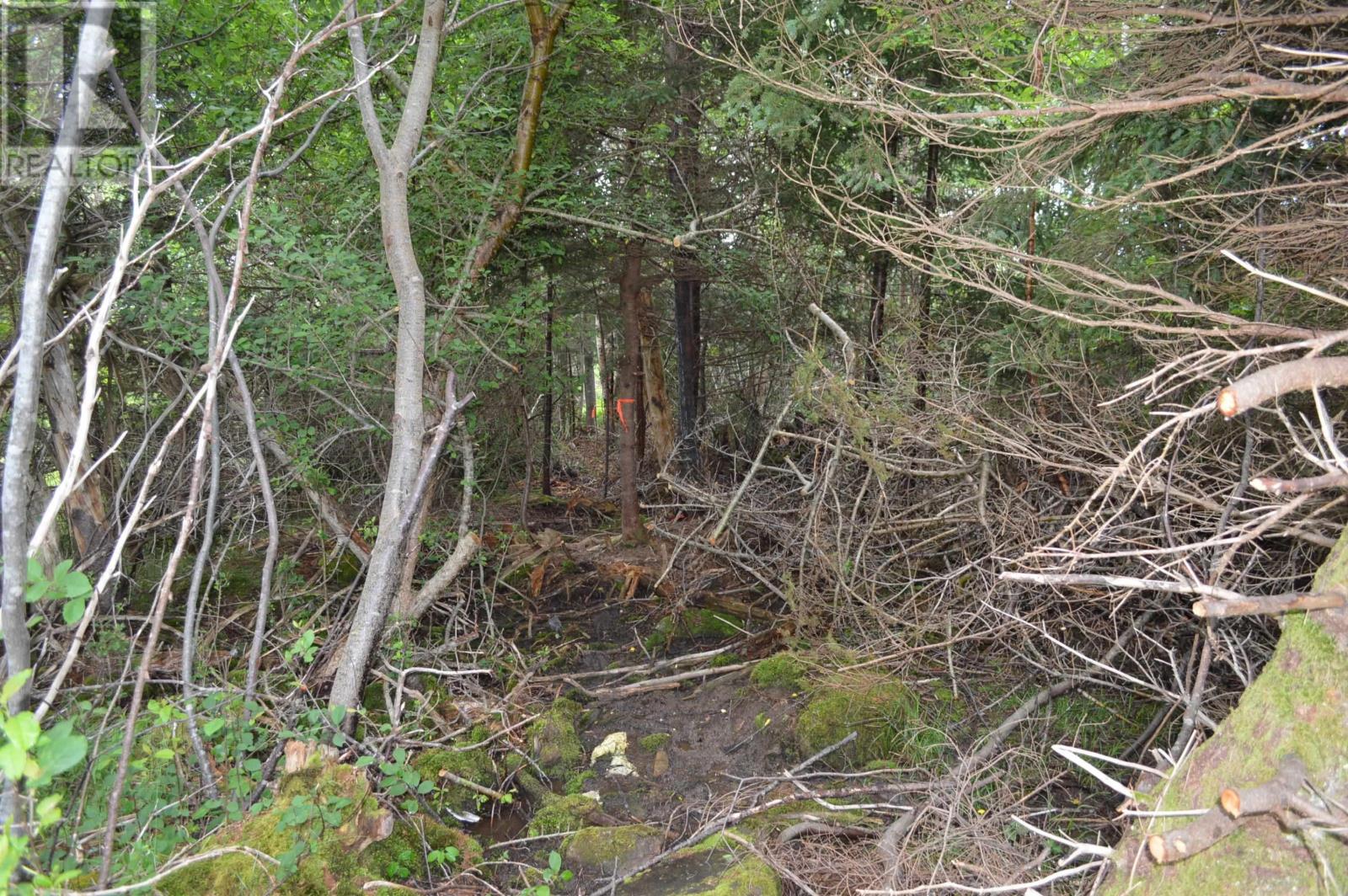 Lot 2 Portion Of 60169216 Blue Rocks Road, Garden Lots, Nova Scotia  B0J 2C0 - Photo 13 - 202511256