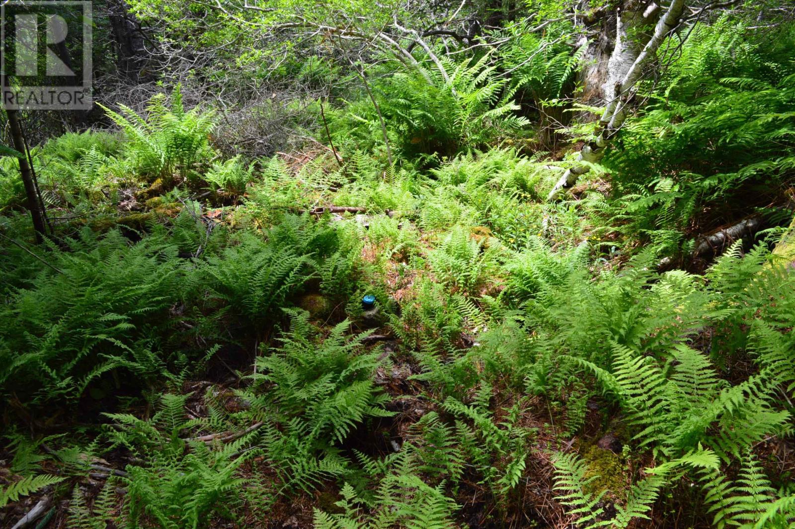 Lot 2 Pid 60169216 Blue Rocks Road, Garden Lots, Nova Scotia  B0J 2C0 - Photo 17 - 202511266