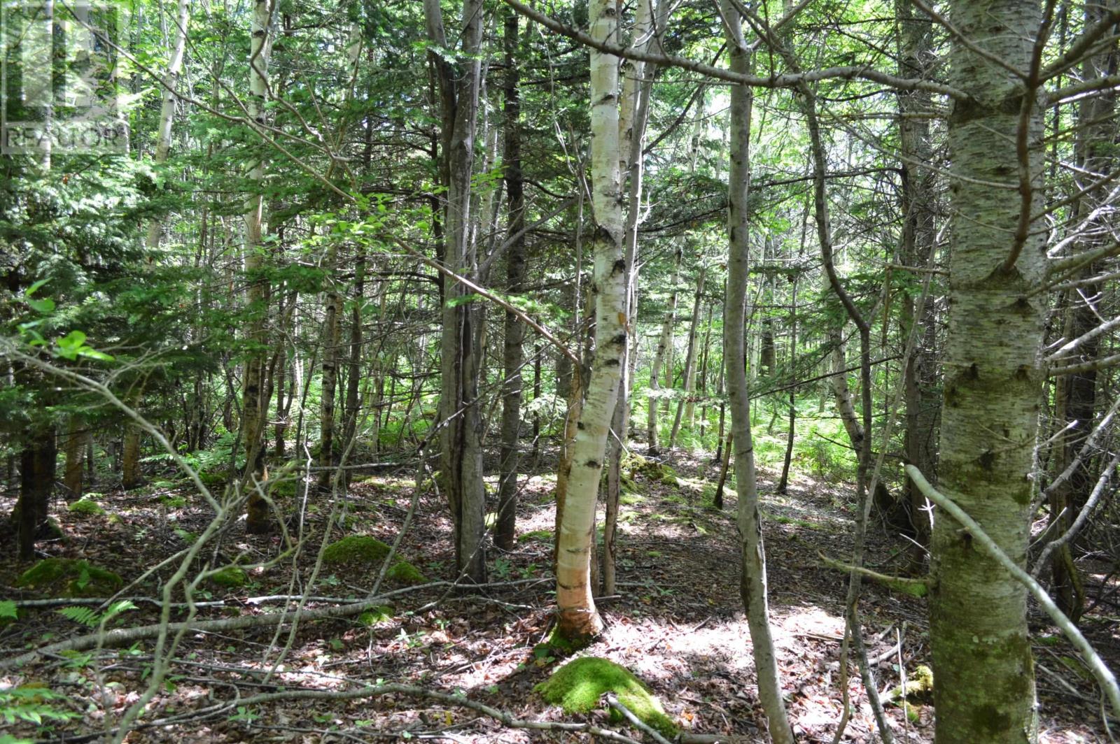 Lot 2 Pid 60169216 Blue Rocks Road, Garden Lots, Nova Scotia  B0J 2C0 - Photo 26 - 202511266