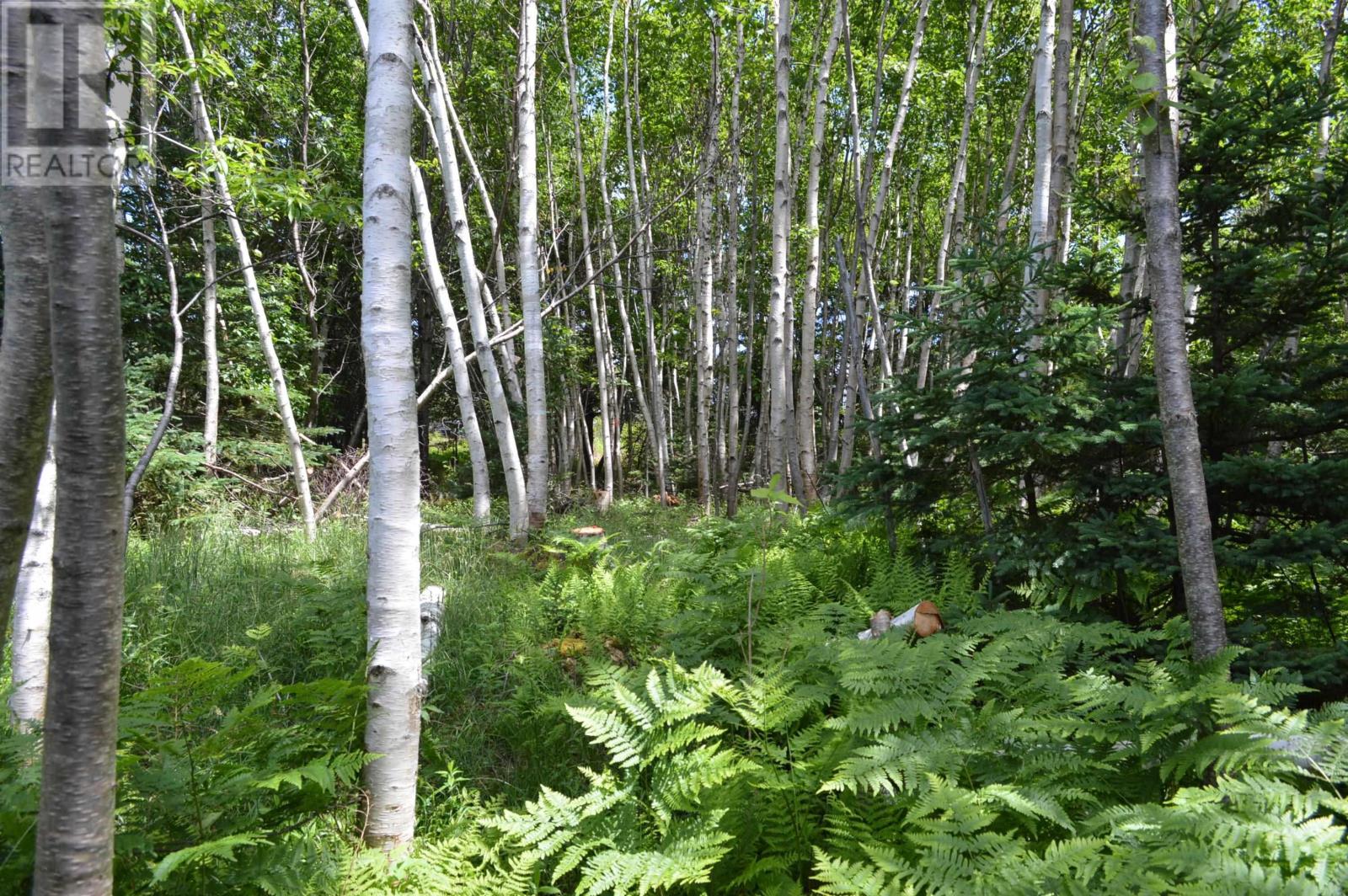 Lot 2 Pid 60169216 Blue Rocks Road, Garden Lots, Nova Scotia  B0J 2C0 - Photo 19 - 202511266