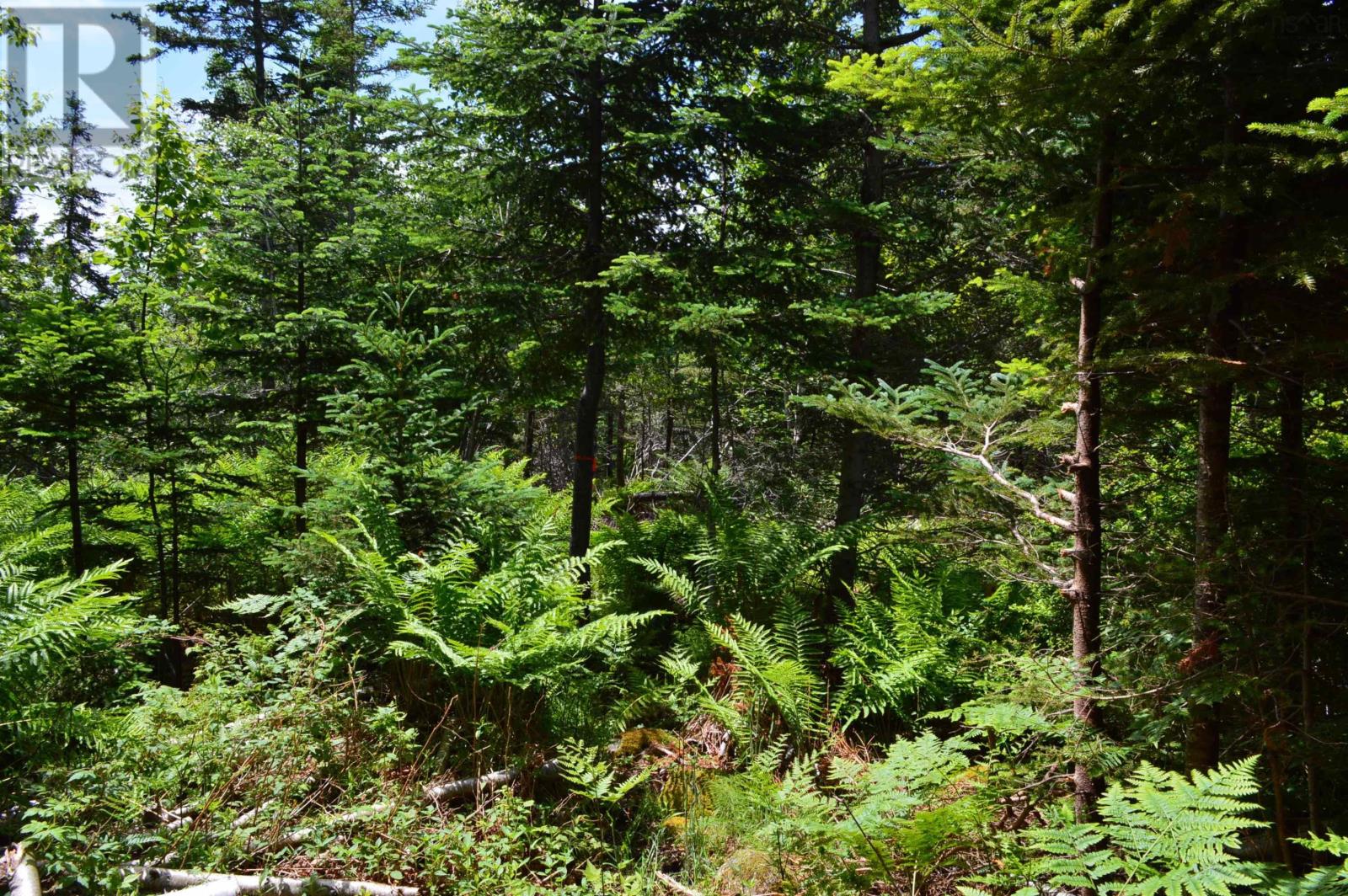 Lot Portion Of 60169216 Blue Rocks Road, Garden Lots, Nova Scotia  B0J 2C0 - Photo 20 - 202511266