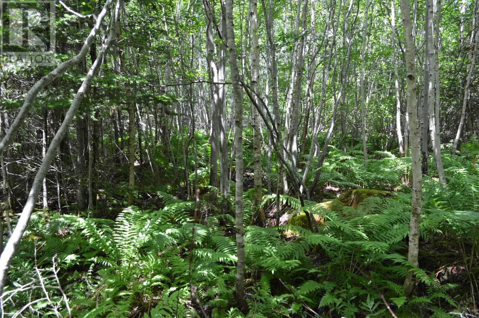 Lot 2 Pid 60169216 Blue Rocks Road, Garden Lots, Nova Scotia  B0J 2C0 - Photo 27 - 202511266