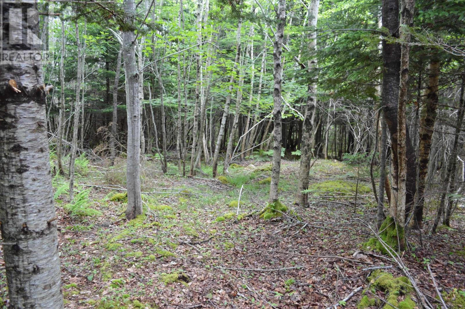 Lot Portion Of 60169216 Blue Rocks Road, Garden Lots, Nova Scotia  B0J 2C0 - Photo 42 - 202511266