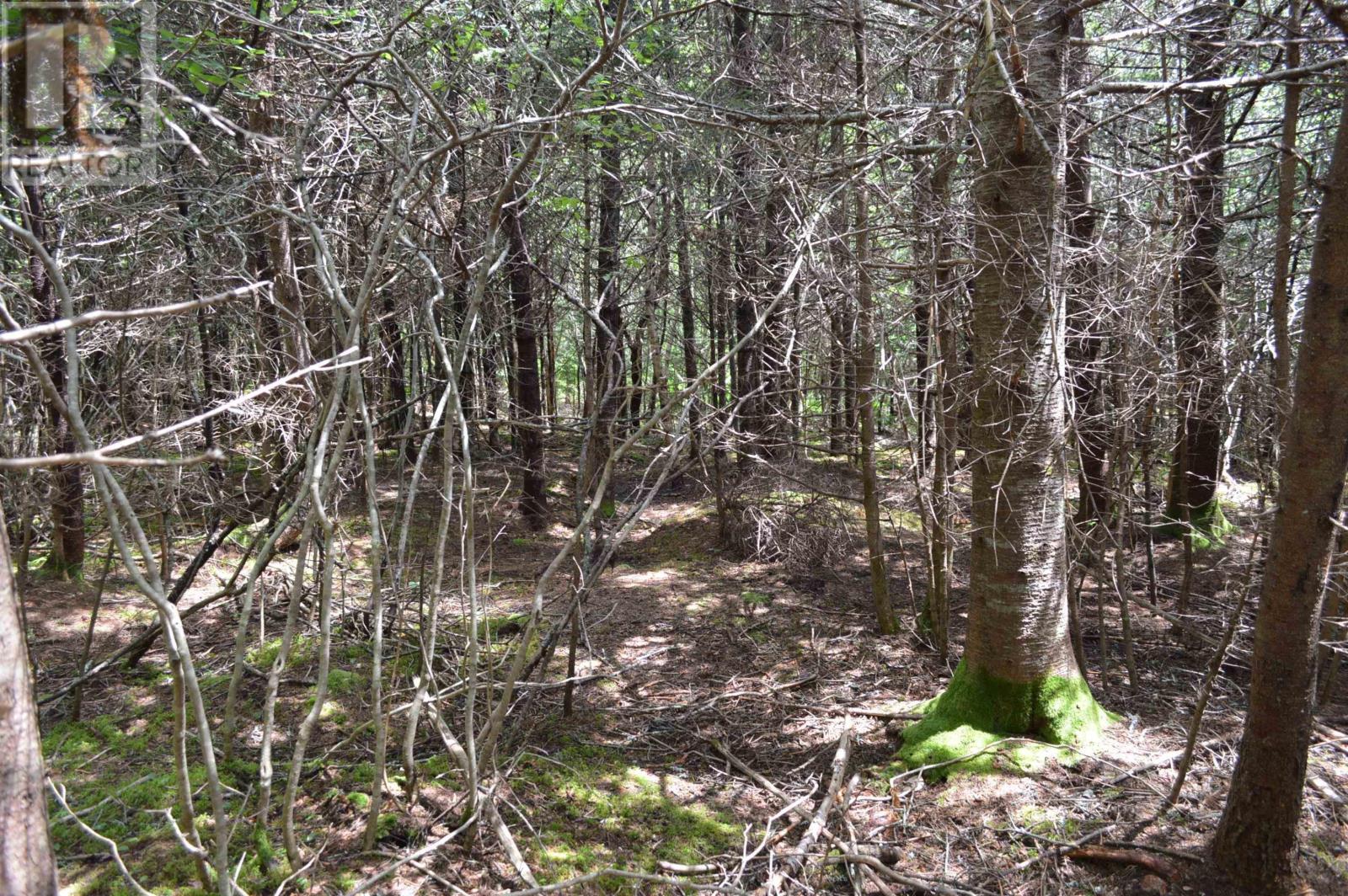 Lot 2 Pid 60169216 Blue Rocks Road, Garden Lots, Nova Scotia  B0J 2C0 - Photo 30 - 202511266