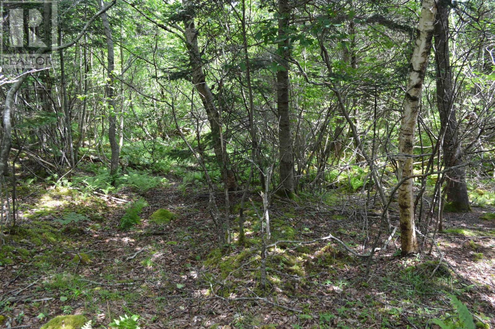 Lot 2 Pid 60169216 Blue Rocks Road, Garden Lots, Nova Scotia  B0J 2C0 - Photo 35 - 202511266