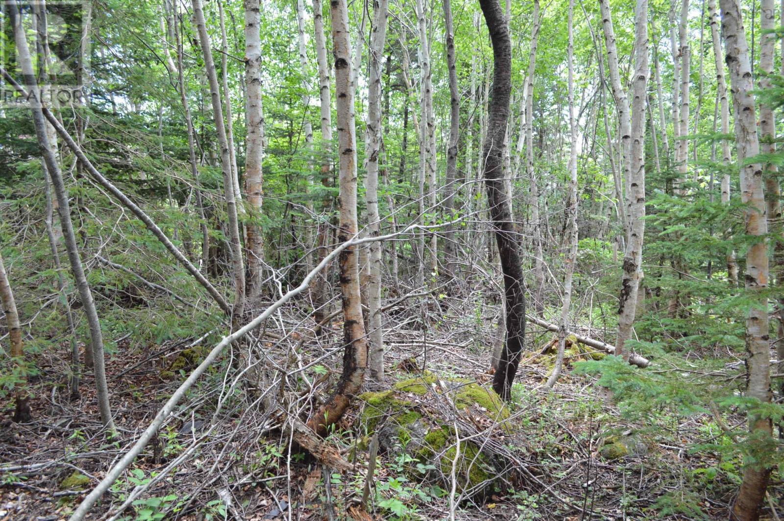 Lot 2 Pid 60169216 Blue Rocks Road, Garden Lots, Nova Scotia  B0J 2C0 - Photo 46 - 202511266