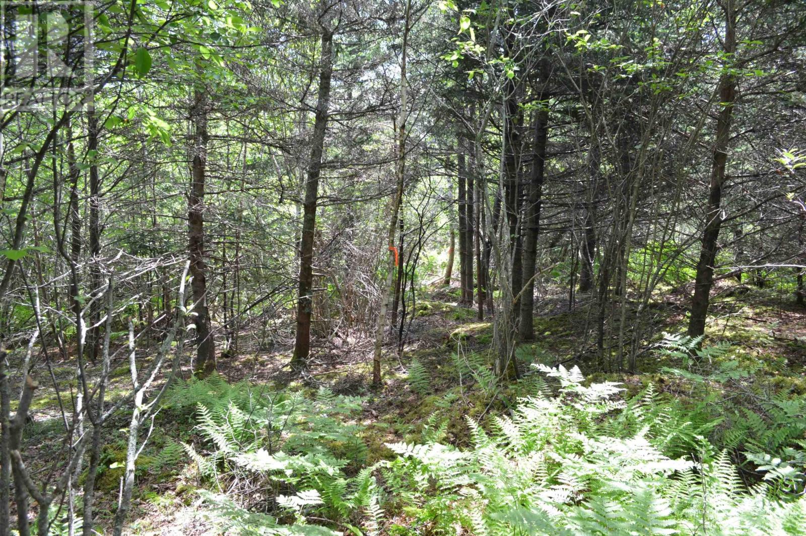 Lot 2 Pid 60169216 Blue Rocks Road, Garden Lots, Nova Scotia  B0J 2C0 - Photo 34 - 202511266