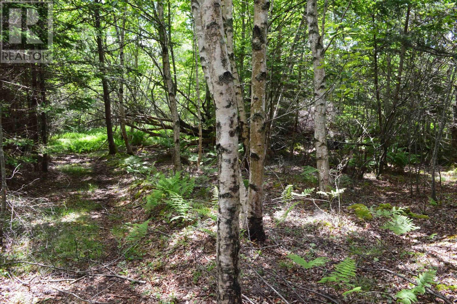 Lot Portion Of 60169216 Blue Rocks Road, Garden Lots, Nova Scotia  B0J 2C0 - Photo 40 - 202511266