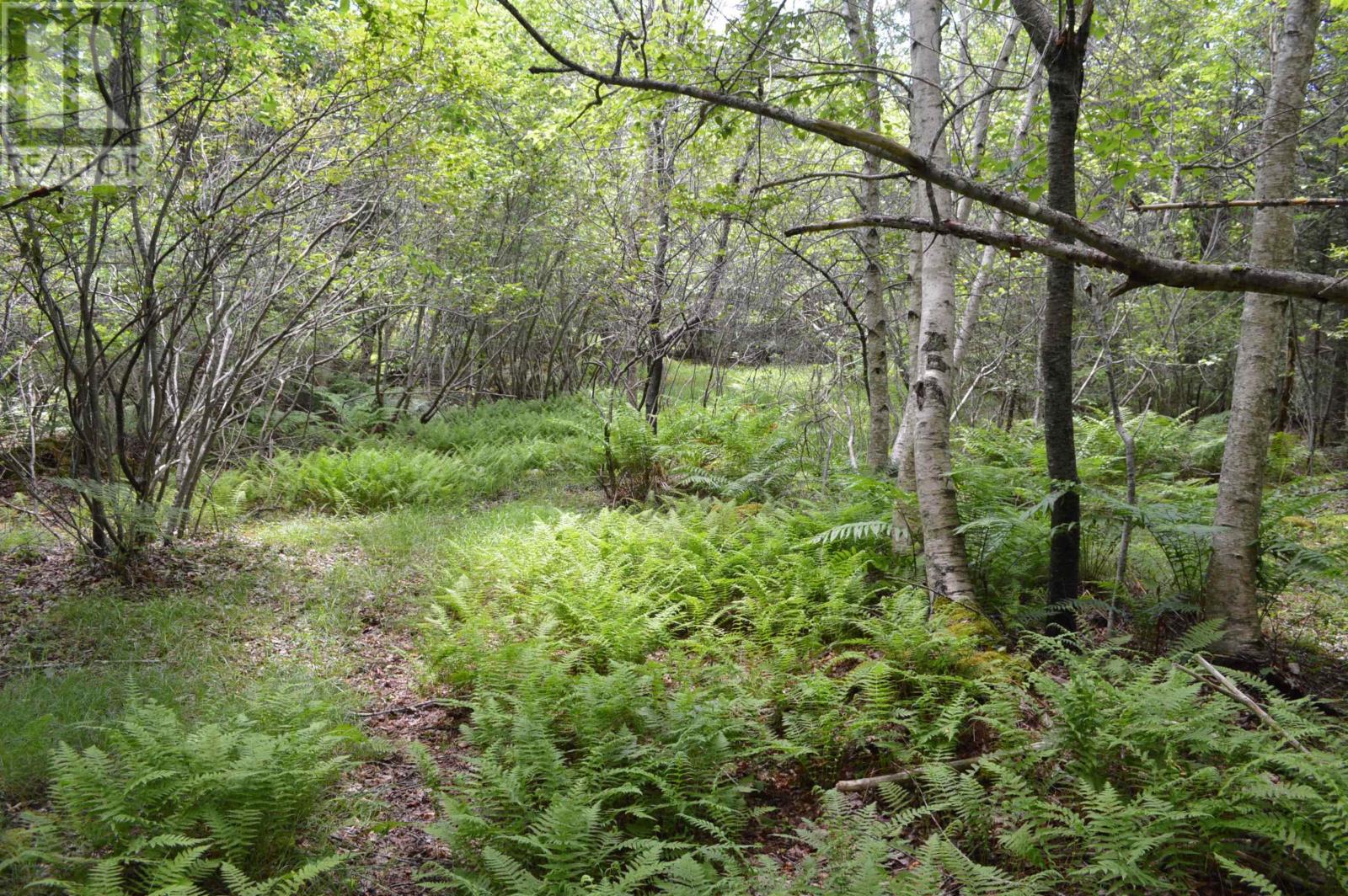 Lot 2 Pid 60169216 Blue Rocks Road, Garden Lots, Nova Scotia  B0J 2C0 - Photo 39 - 202511266