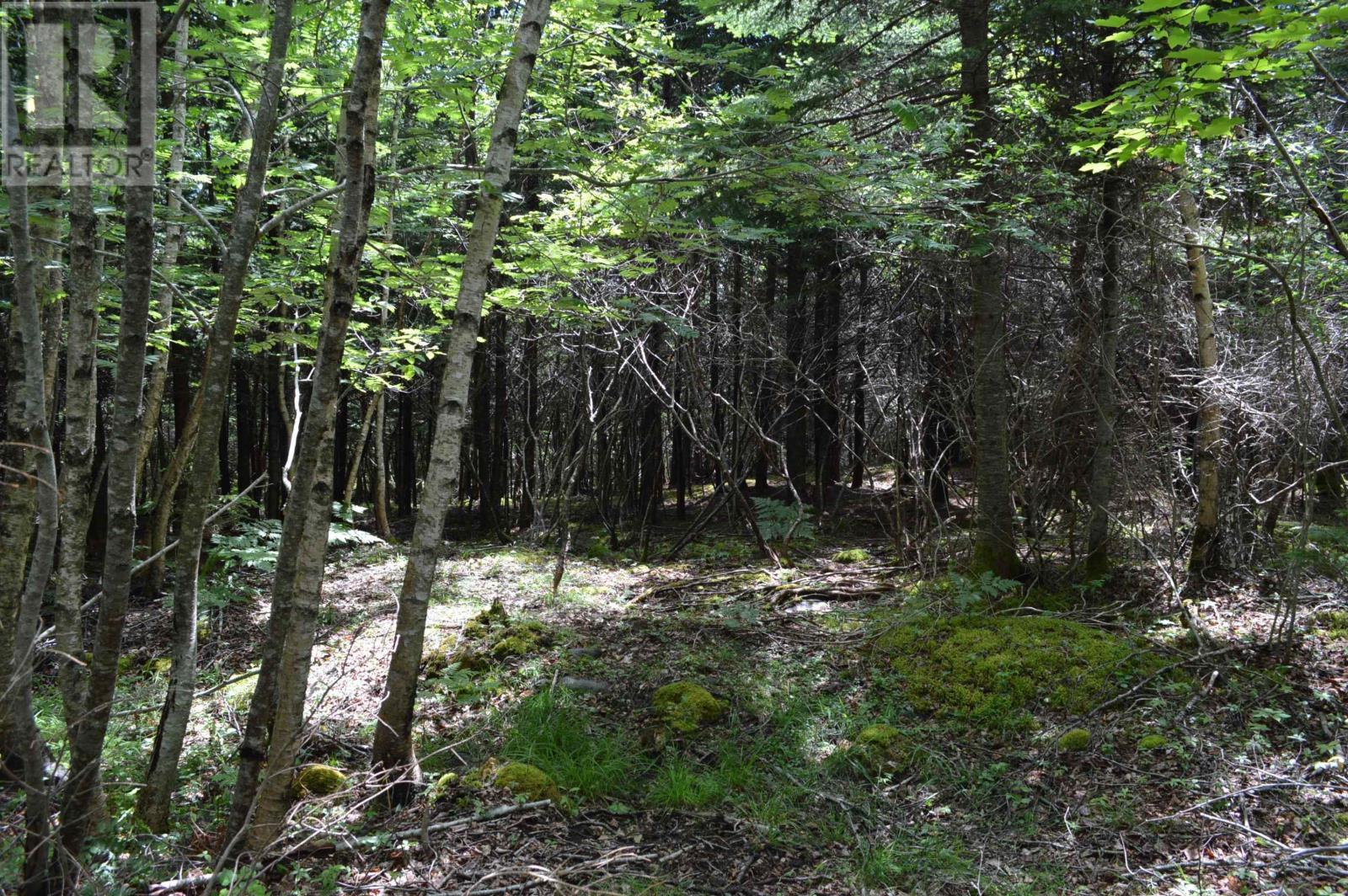 Lot 2 Pid 60169216 Blue Rocks Road, Garden Lots, Nova Scotia  B0J 2C0 - Photo 28 - 202511266