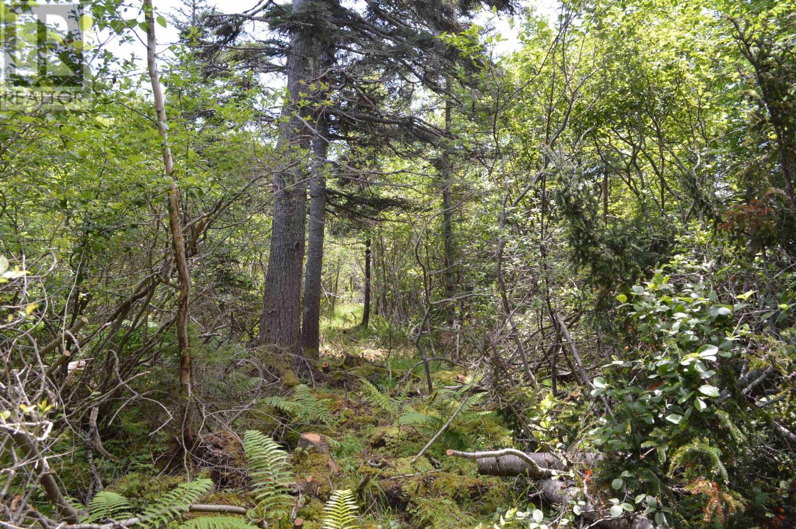 Lot 2 Pid 60169216 Blue Rocks Road, Garden Lots, Nova Scotia  B0J 2C0 - Photo 36 - 202511266