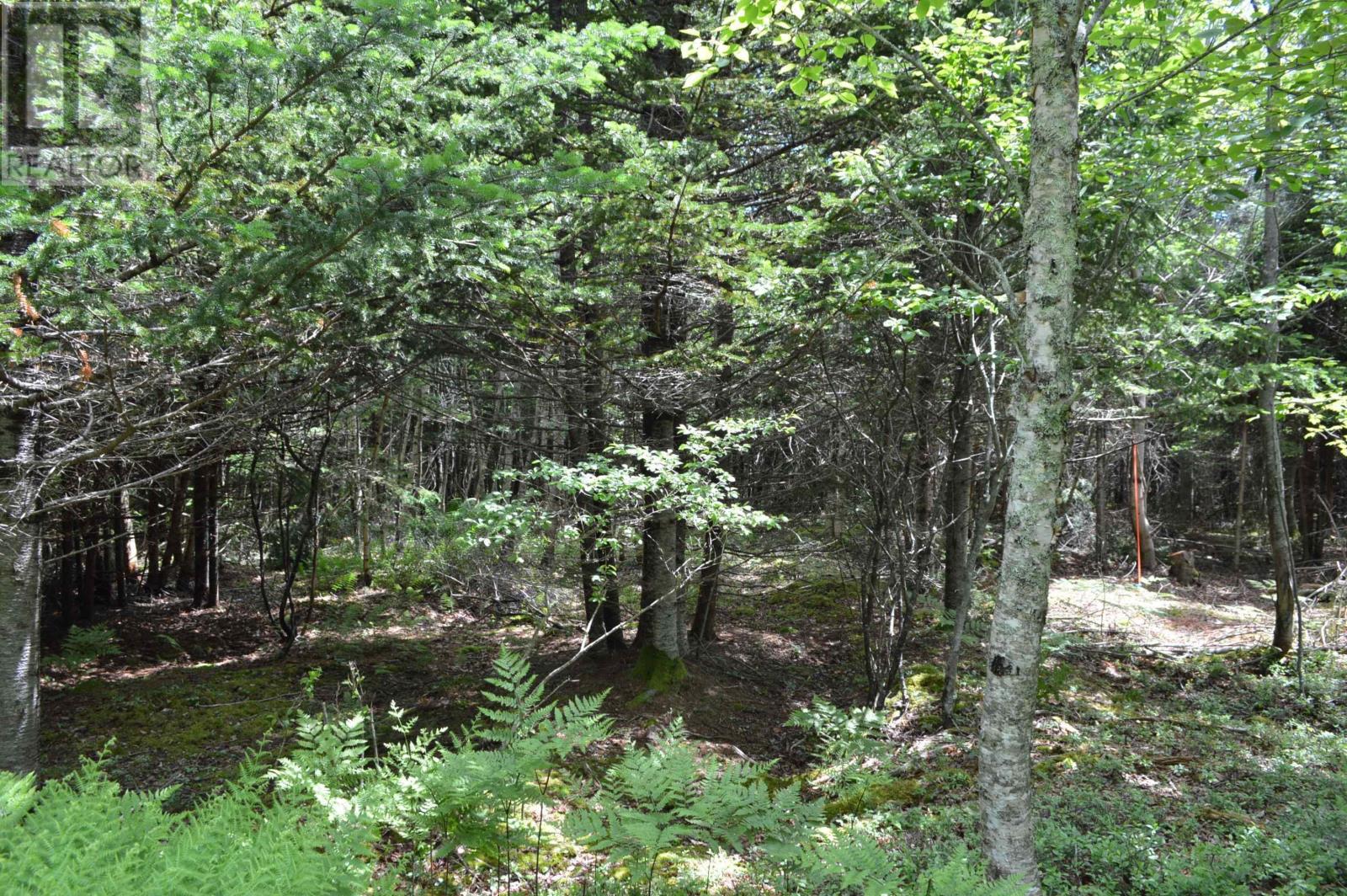 Lot 2 Pid 60169216 Blue Rocks Road, Garden Lots, Nova Scotia  B0J 2C0 - Photo 43 - 202511266