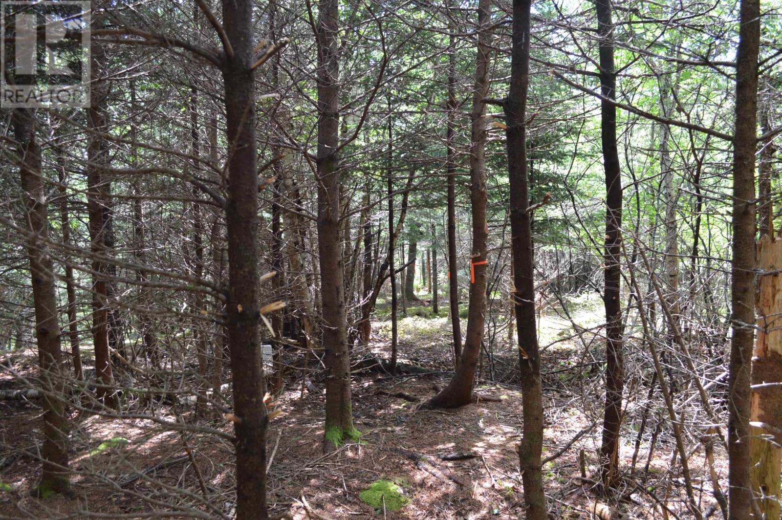 Lot 2 Pid 60169216 Blue Rocks Road, Garden Lots, Nova Scotia  B0J 2C0 - Photo 31 - 202511266