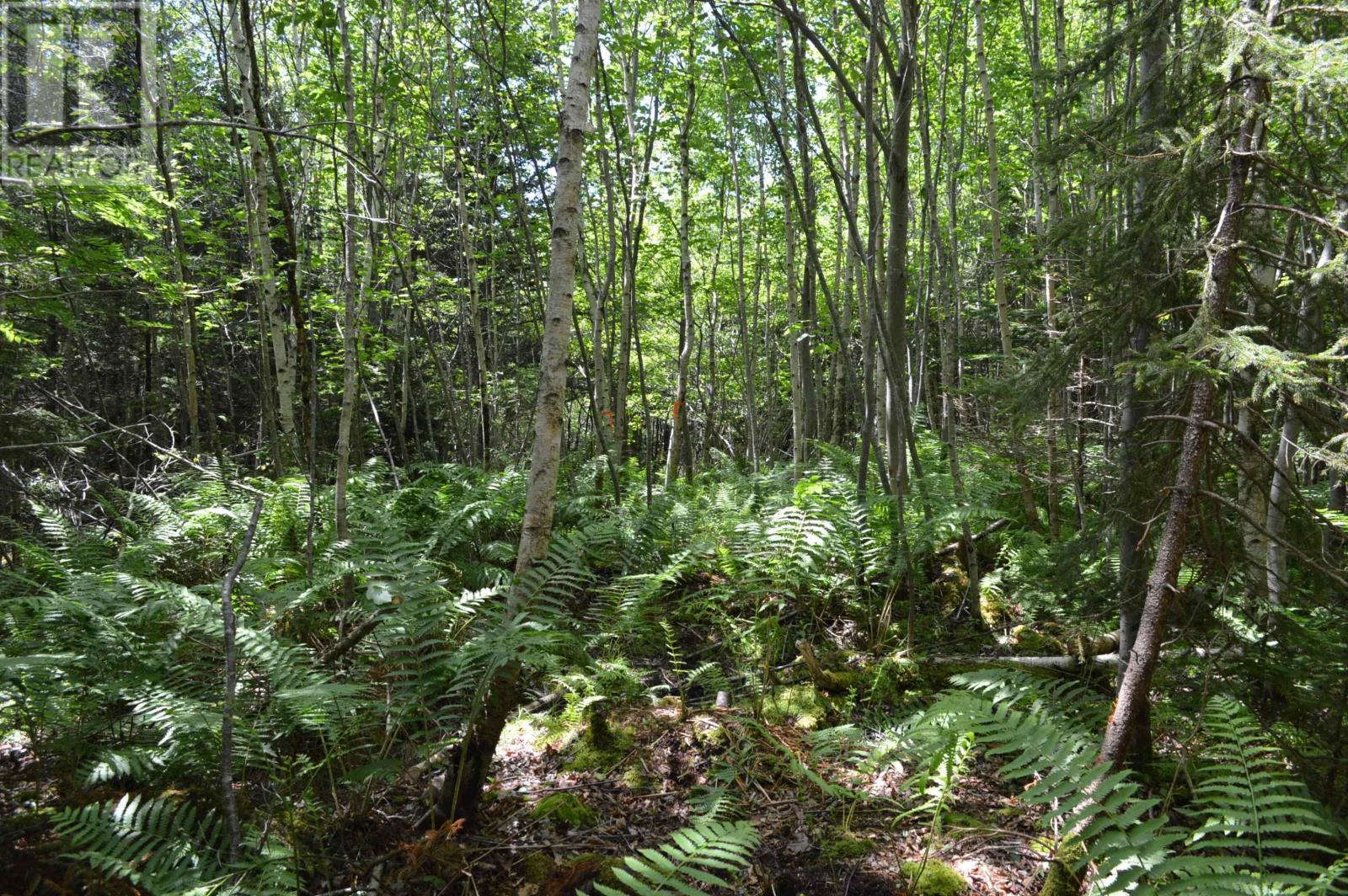 Lot 2 Pid 60169216 Blue Rocks Road, Garden Lots, Nova Scotia  B0J 2C0 - Photo 25 - 202511266