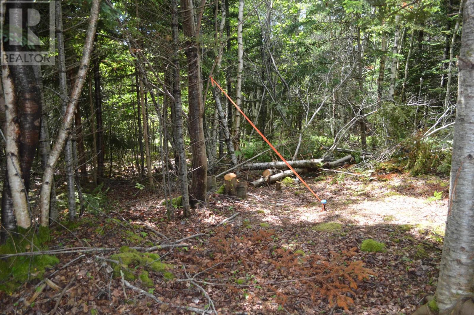 Lot 2 Pid 60169216 Blue Rocks Road, Garden Lots, Nova Scotia  B0J 2C0 - Photo 29 - 202511266
