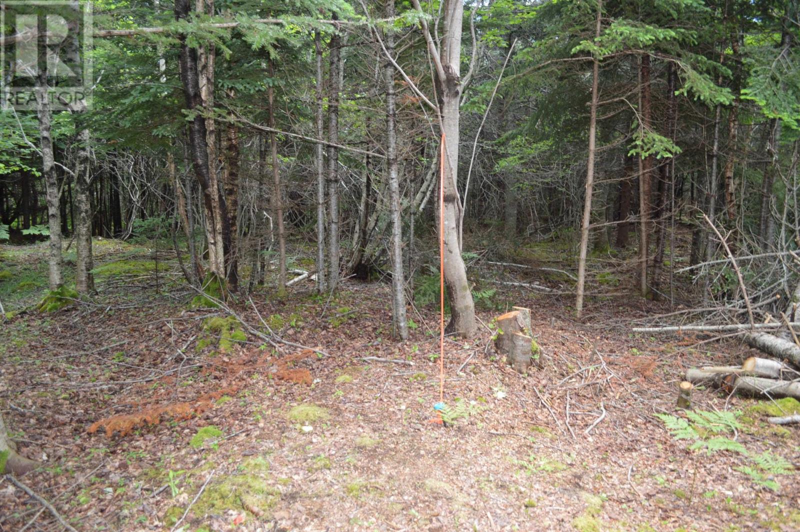 Lot 2 Pid 60169216 Blue Rocks Road, Garden Lots, Nova Scotia  B0J 2C0 - Photo 41 - 202511266