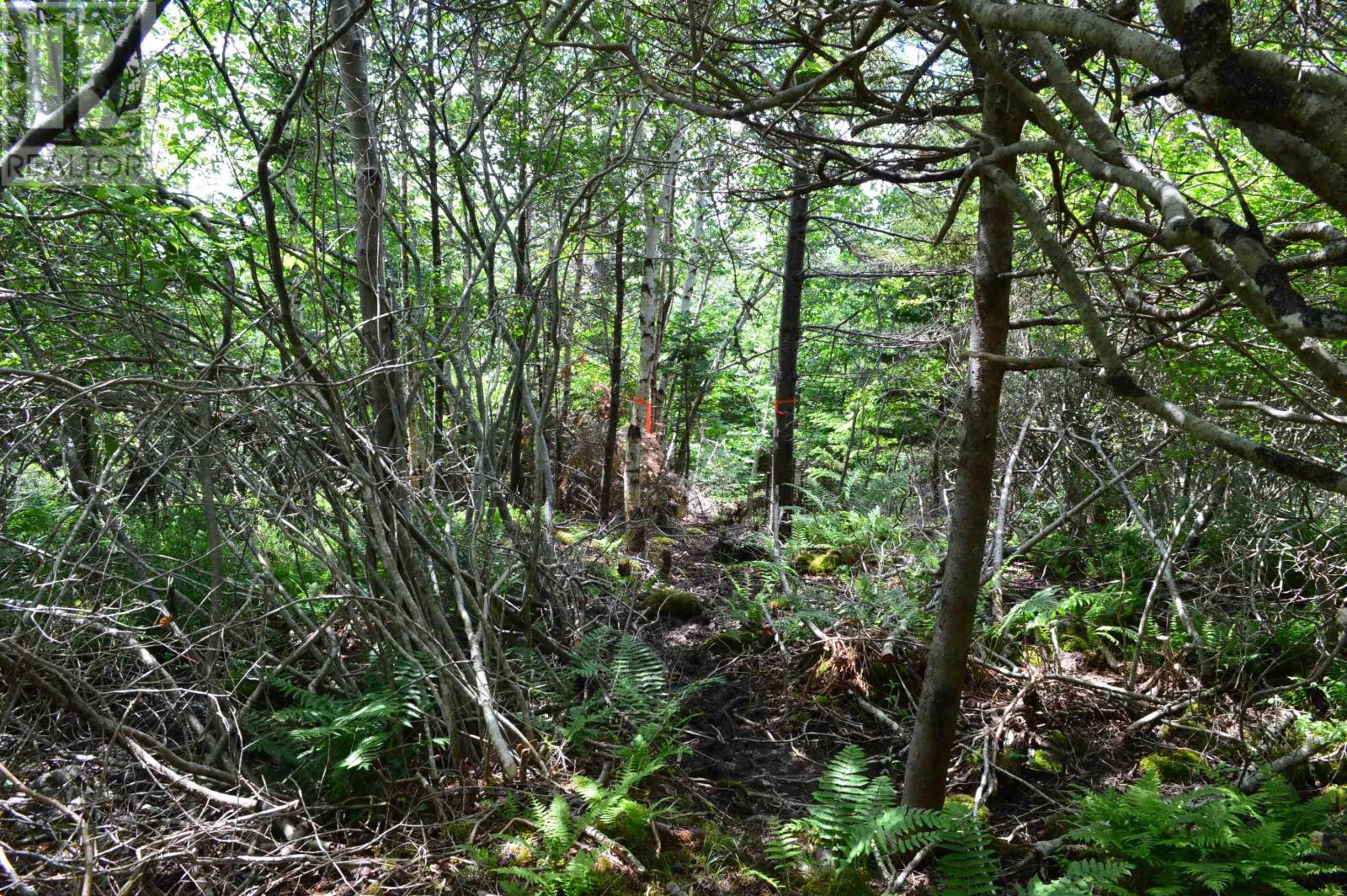 Lot Portion Of 60169216 Blue Rocks Road, Garden Lots, Nova Scotia  B0J 2C0 - Photo 22 - 202511266