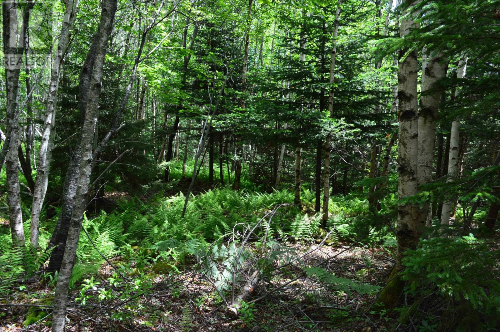 Lot 2 Pid 60169216 Blue Rocks Road, Garden Lots, Nova Scotia  B0J 2C0 - Photo 44 - 202511266